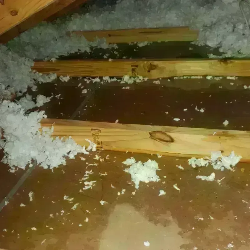 Attic Water Damage in Smackover, AR