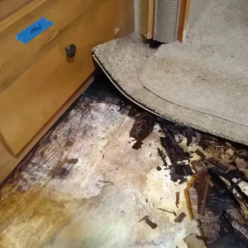 Best Wood Floor Water Damage Service in Smackover, AR